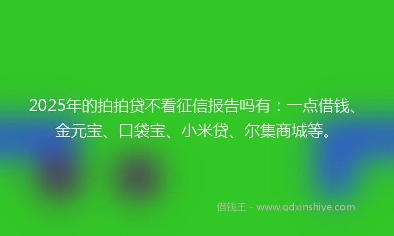 2025年的拍拍贷不看征信报告吗有：一点借钱、金元宝、口袋宝、小米贷、尔集商城等。