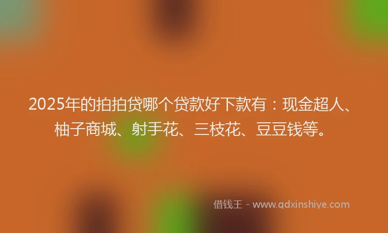 2025年的拍拍贷哪个贷款好下款有：现金超人、柚子商城、射手花、三枝花、豆豆钱等。