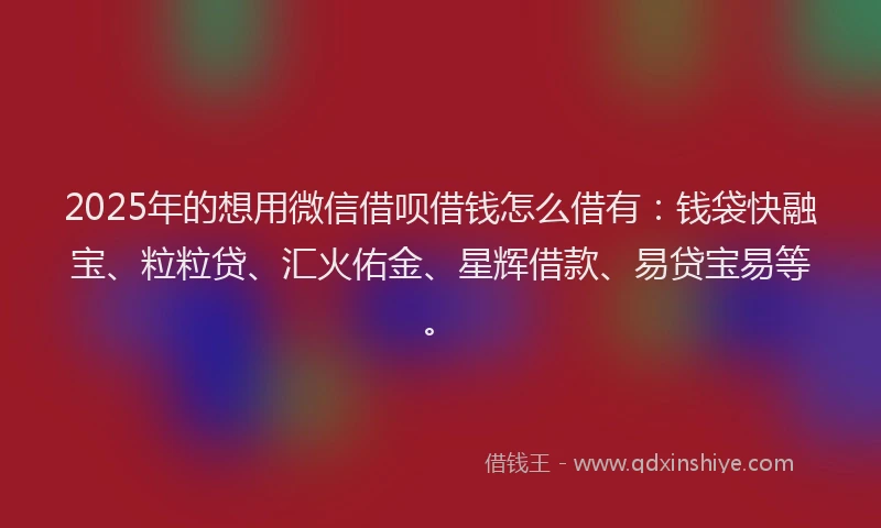 2025年的想用微信借呗借钱怎么借有：钱袋快融宝、粒粒贷、汇火佑金、星辉借款、易贷宝易等。