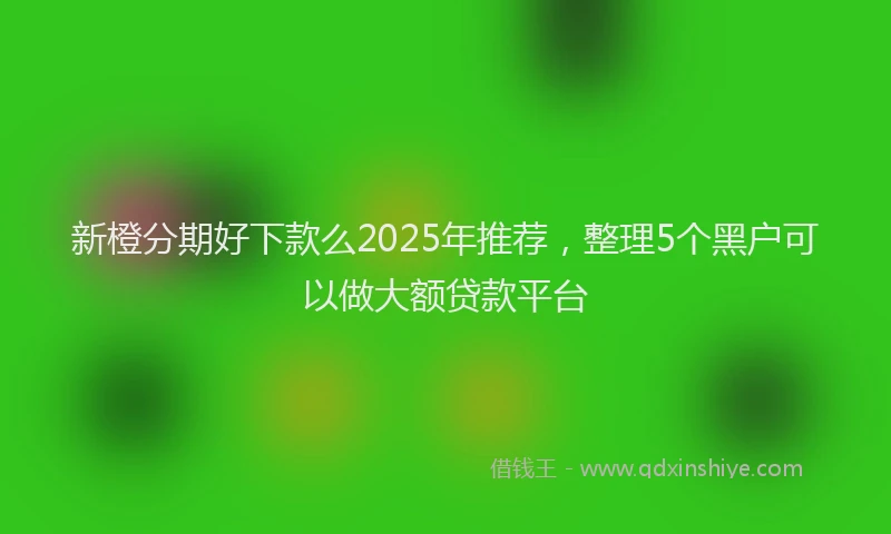 新橙分期好下款么2025年推荐，整理5个黑户可以做大额贷款平台