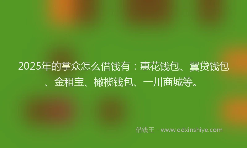 2025年的掌众怎么借钱有：惠花钱包、翼贷钱包、金租宝、橄榄钱包、一川商城等。