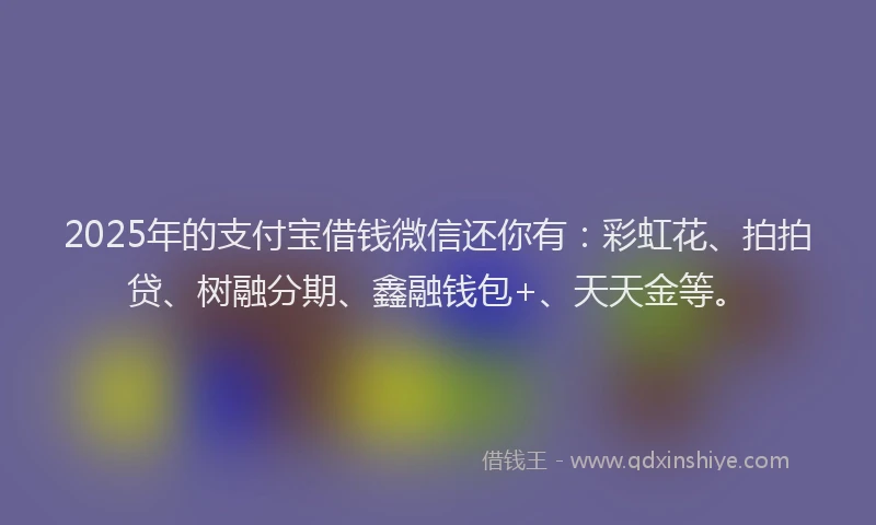 2025年的支付宝借钱微信还你有：彩虹花、拍拍贷、树融分期、鑫融钱包+、天天金等。