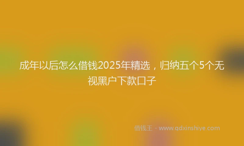 成年以后怎么借钱2025年精选，归纳五个5个无视黑户下款口子