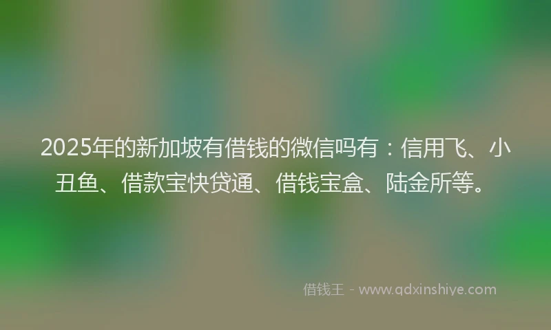 2025年的新加坡有借钱的微信吗有：信用飞、小丑鱼、借款宝快贷通、借钱宝盒、陆金所等。
