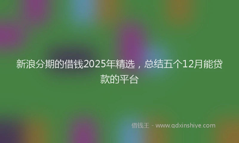 新浪分期的借钱2025年精选，总结五个12月能贷款的平台