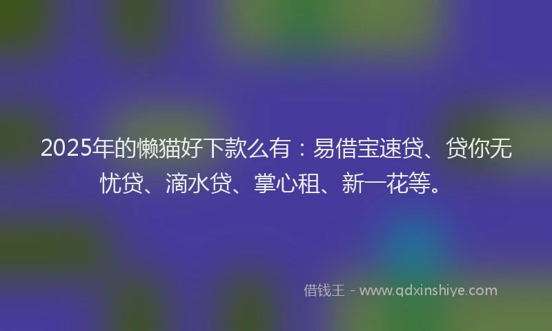 2025年的懒猫好下款么有：易借宝速贷、贷你无忧贷、滴水贷、掌心租、新一花等。