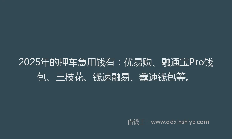 2025年的押车急用钱有：优易购、融通宝Pro钱包、三枝花、钱速融易、鑫速钱包等。