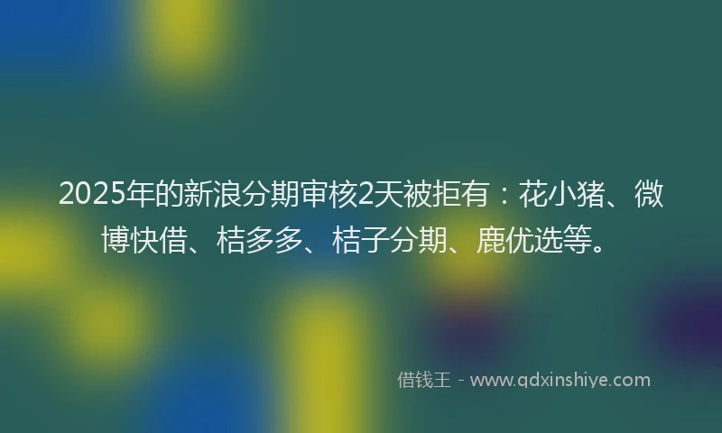 2025年的新浪分期审核2天被拒有：花小猪、微博快借、桔多多、桔子分期、鹿优选等。