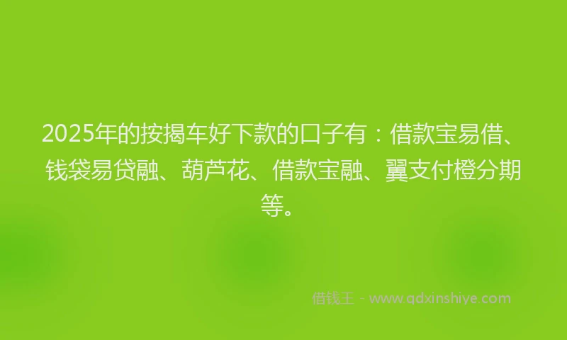 2025年的按揭车好下款的口子有：借款宝易借、钱袋易贷融、葫芦花、借款宝融、翼支付橙分期等。