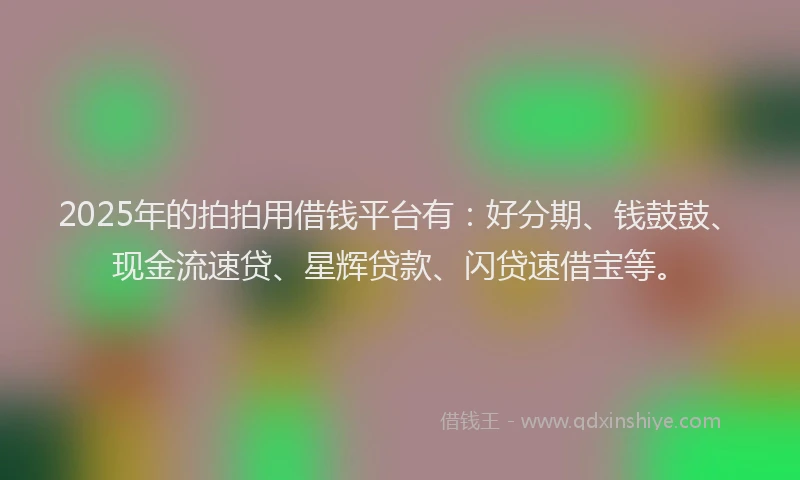 2025年的拍拍用借钱平台有：好分期、钱鼓鼓、现金流速贷、星辉贷款、闪贷速借宝等。