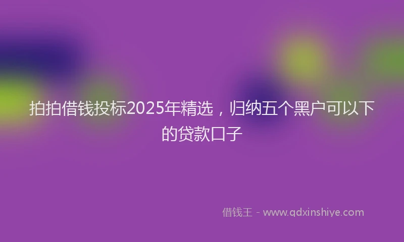 拍拍借钱投标2025年精选，归纳五个黑户可以下的贷款口子