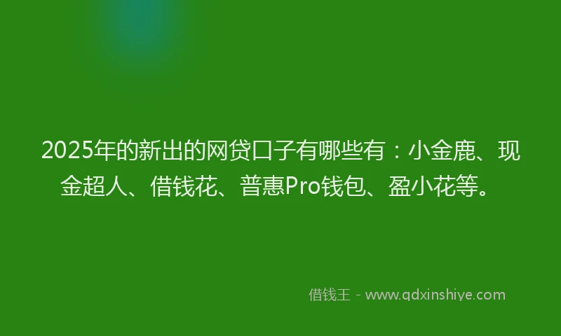 2025年的新出的网贷口子有哪些有：小金鹿、现金超人、借钱花、普惠Pro钱包、盈小花等。