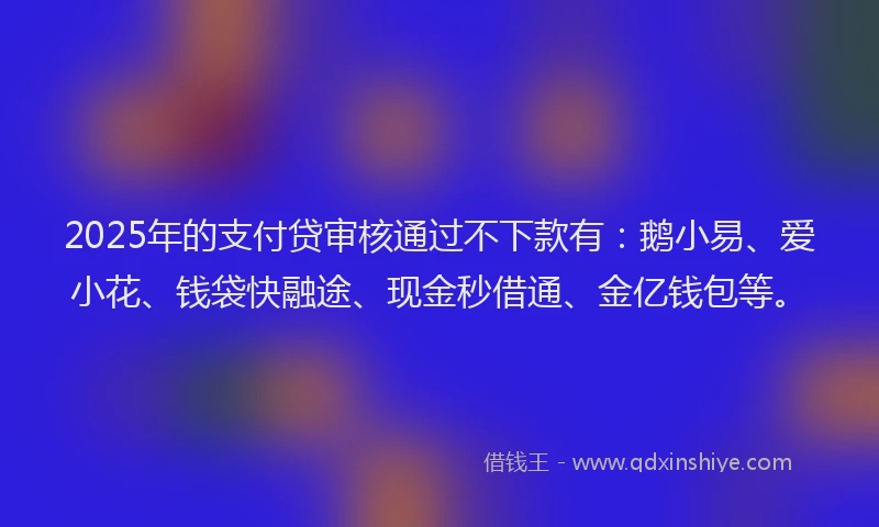 2025年的支付贷审核通过不下款有：鹅小易、爱小花、钱袋快融途、现金秒借通、金亿钱包等。
