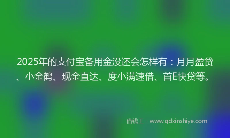 2025年的支付宝备用金没还会怎样有：月月盈贷、小金鹤、现金直达、度小满速借、首E快贷等。