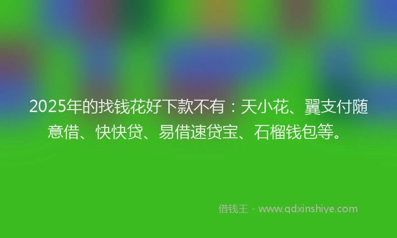 2025年的找钱花好下款不有：天小花、翼支付随意借、快快贷、易借速贷宝、石榴钱包等。