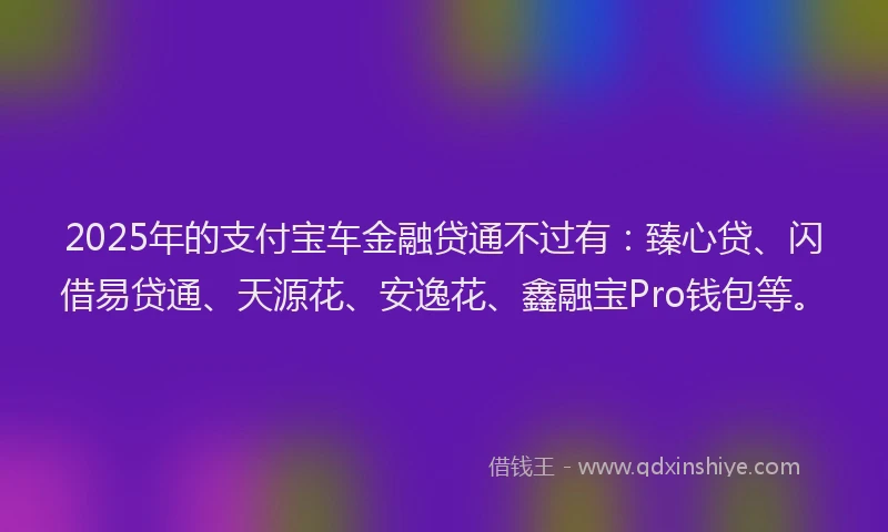 2025年的支付宝车金融贷通不过有：臻心贷、闪借易贷通、天源花、安逸花、鑫融宝Pro钱包等。