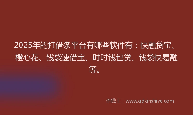 2025年的打借条平台有哪些软件有：快融贷宝、橙心花、钱袋速借宝、时时钱包贷、钱袋快易融等。