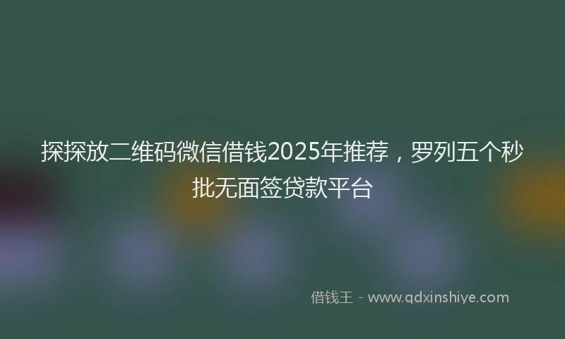 探探放二维码微信借钱2025年推荐，罗列五个秒批无面签贷款平台