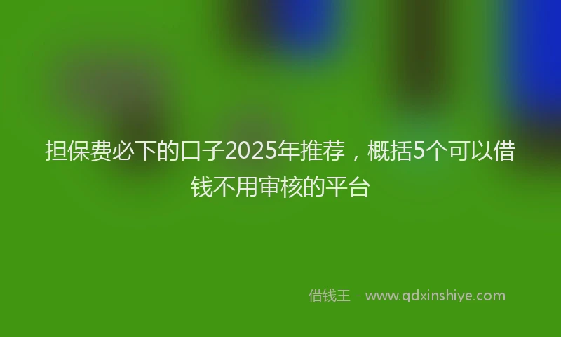 担保费必下的口子2025年推荐，概括5个可以借钱不用审核的平台