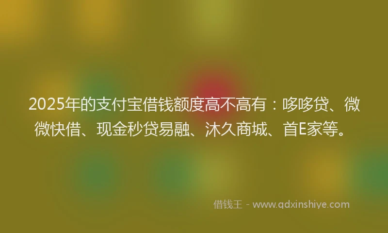 2025年的支付宝借钱额度高不高有：哆哆贷、微微快借、现金秒贷易融、沐久商城、首E家等。