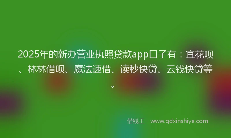 2025年的新办营业执照贷款app口子有：宜花呗、林林借呗、魔法速借、读秒快贷、云钱快贷等。