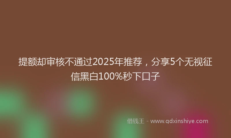 提额却审核不通过2025年推荐，分享5个无视征信黑白100%秒下口子