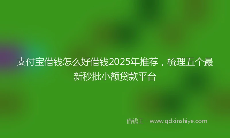 支付宝借钱怎么好借钱2025年推荐，梳理五个最新秒批小额贷款平台