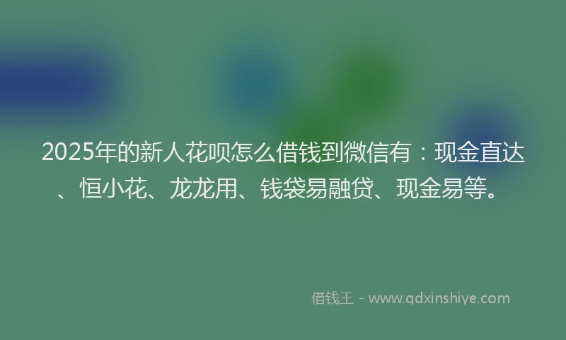 2025年的新人花呗怎么借钱到微信有：现金直达、恒小花、龙龙用、钱袋易融贷、现金易等。