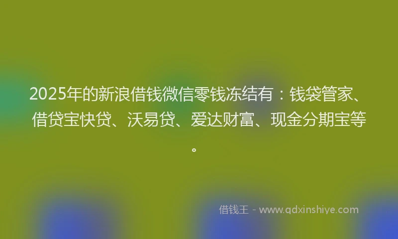 2025年的新浪借钱微信零钱冻结有：钱袋管家、借贷宝快贷、沃易贷、爱达财富、现金分期宝等。
