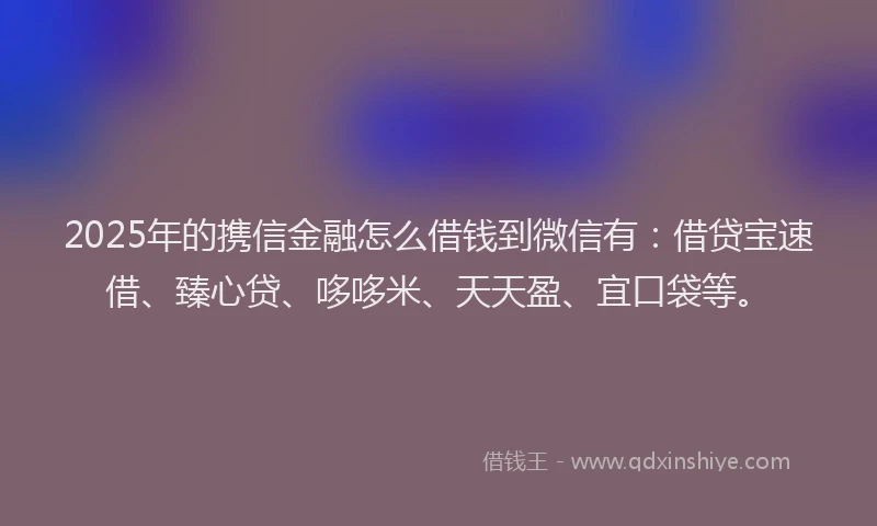 2025年的携信金融怎么借钱到微信有：借贷宝速借、臻心贷、哆哆米、天天盈、宜口袋等。