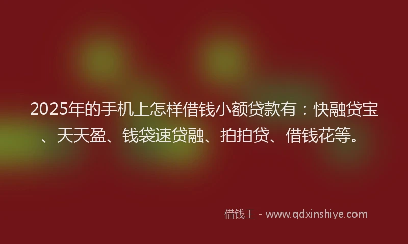 2025年的手机上怎样借钱小额贷款有：快融贷宝、天天盈、钱袋速贷融、拍拍贷、借钱花等。