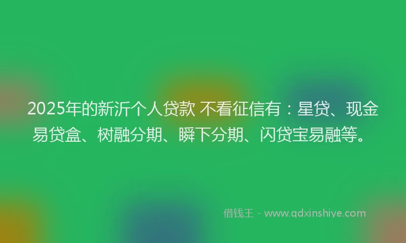 2025年的新沂个人贷款 不看征信有：星贷、现金易贷盒、树融分期、瞬下分期、闪贷宝易融等。