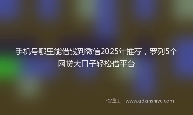 手机号哪里能借钱到微信2025年推荐，罗列5个网贷大口子轻松借平台