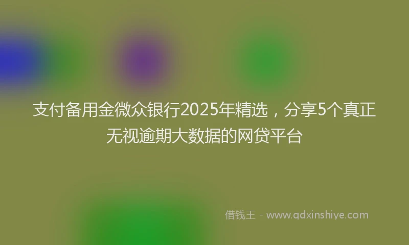 支付备用金微众银行2025年精选，分享5个真正无视逾期大数据的网贷平台