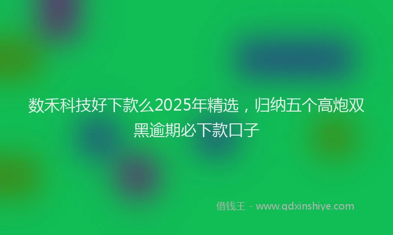 数禾科技好下款么2025年精选，归纳五个高炮双黑逾期必下款口子