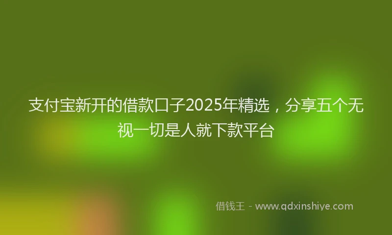 支付宝新开的借款口子2025年精选，分享五个无视一切是人就下款平台