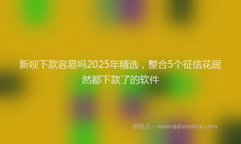 新呗下款容易吗2025年精选，整合5个征信花居然都下款了的软件