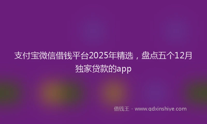 支付宝微信借钱平台2025年精选，盘点五个12月独家贷款的app