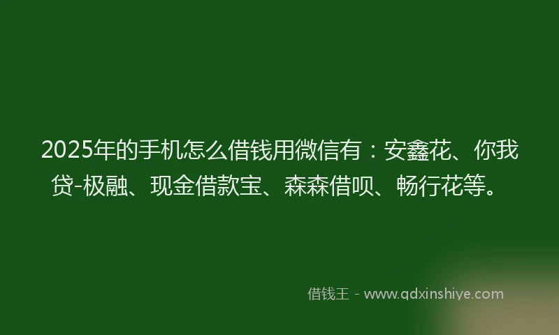 2025年的手机怎么借钱用微信有：安鑫花、你我贷-极融、现金借款宝、森森借呗、畅行花等。