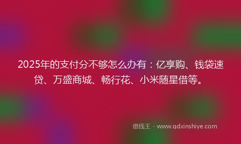 2025年的支付分不够怎么办有：亿享购、钱袋速贷、万盛商城、畅行花、小米随星借等。