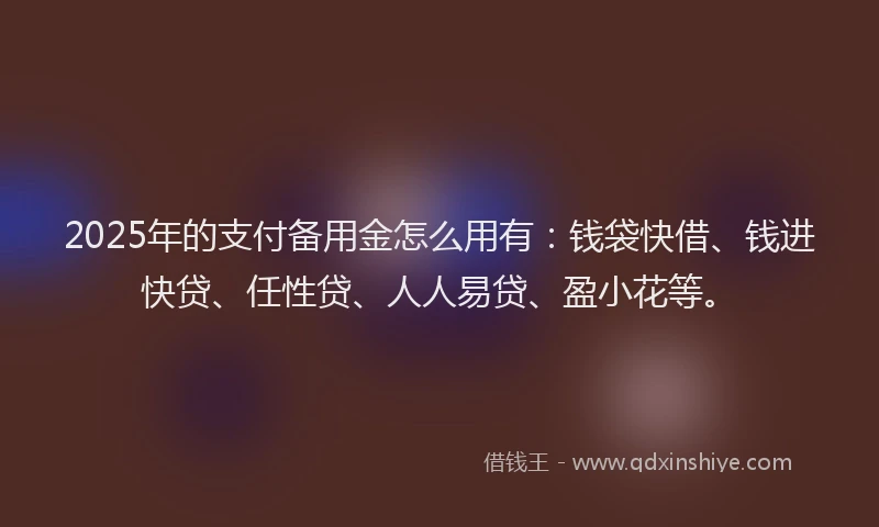 2025年的支付备用金怎么用有：钱袋快借、钱进快贷、任性贷、人人易贷、盈小花等。