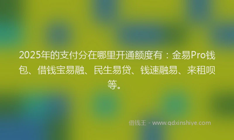 2025年的支付分在哪里开通额度有：金易Pro钱包、借钱宝易融、民生易贷、钱速融易、来租呗等。