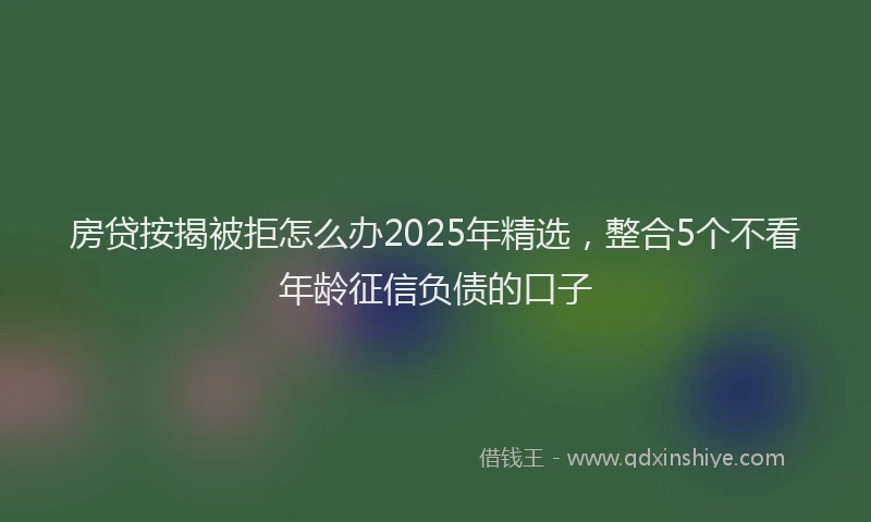 房贷按揭被拒怎么办2025年精选，整合5个不看年龄征信负债的口子