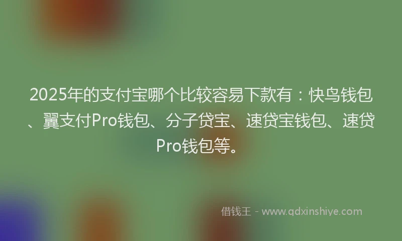 2025年的支付宝哪个比较容易下款有：快鸟钱包、翼支付Pro钱包、分子贷宝、速贷宝钱包、速贷Pro钱包等。