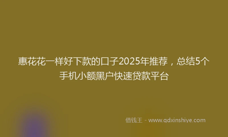 惠花花一样好下款的口子2025年推荐，总结5个手机小额黑户快速贷款平台