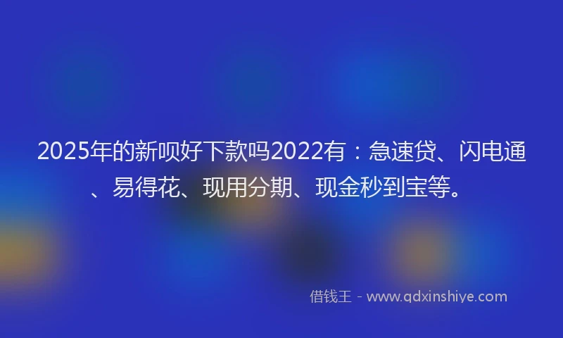 2025年的新呗好下款吗2022有：急速贷、闪电通、易得花、现用分期、现金秒到宝等。