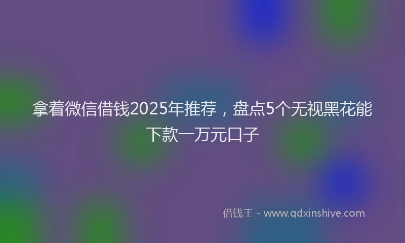 拿着微信借钱2025年推荐，盘点5个无视黑花能下款一万元口子