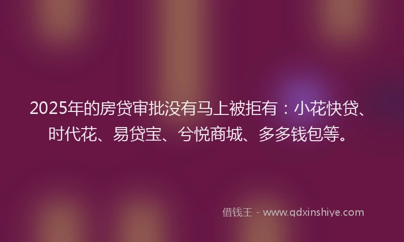 2025年的房贷审批没有马上被拒有：小花快贷、时代花、易贷宝、兮悦商城、多多钱包等。