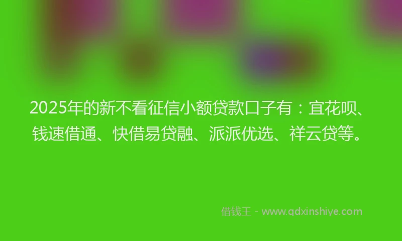 2025年的新不看征信小额贷款口子有：宜花呗、钱速借通、快借易贷融、派派优选、祥云贷等。