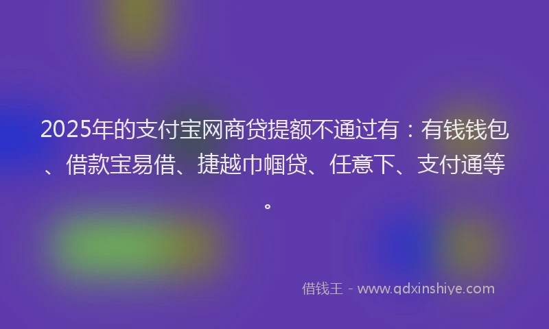 2025年的支付宝网商贷提额不通过有：有钱钱包、借款宝易借、捷越巾帼贷、任意下、支付通等。